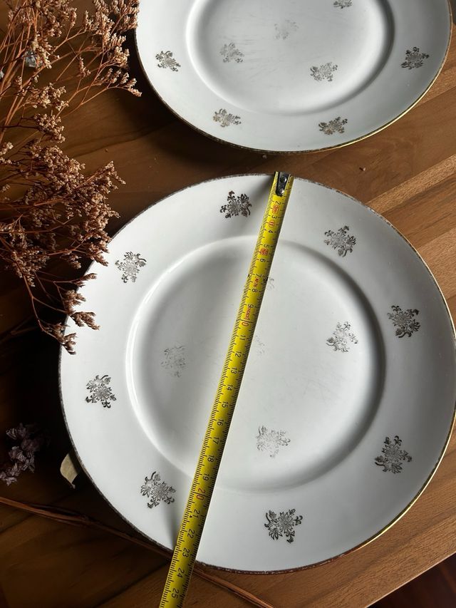 Platos de porcelana francesa dorados
