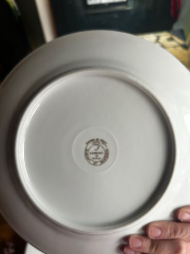Platos de porcelana francesa dorados