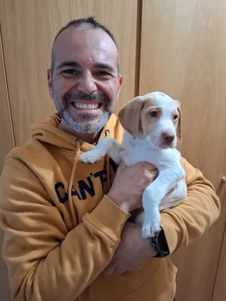Paseador y cuidador de perros