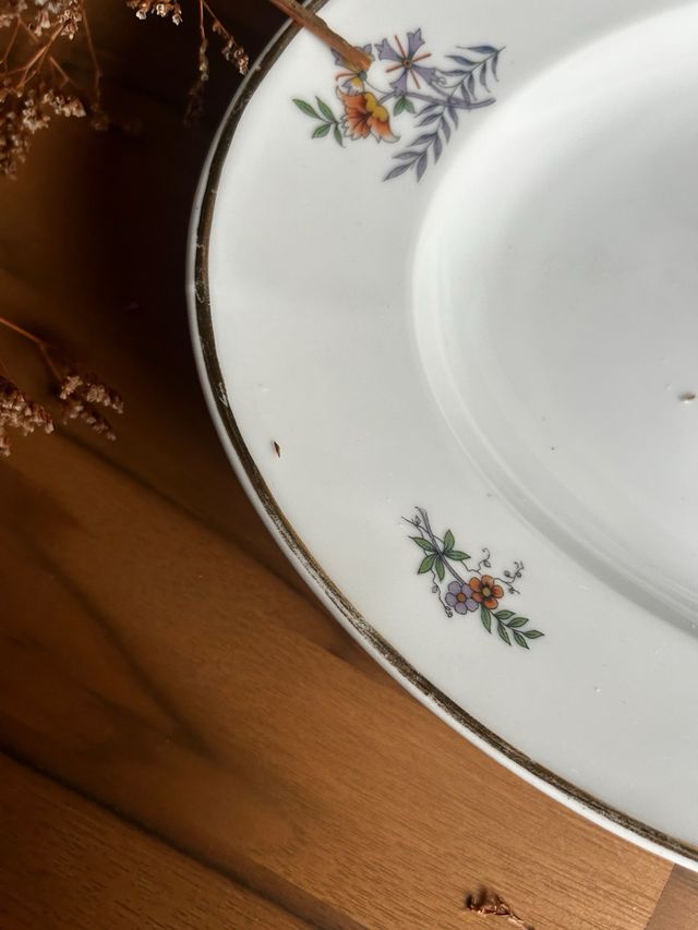 Fuente Limoges Porcelana