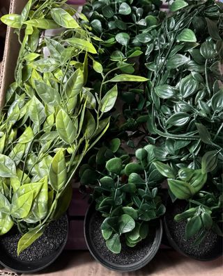 3 Piantine Finte Cadenti Verdi