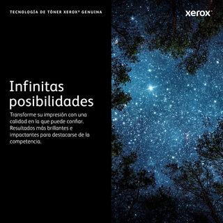 Xerox Original Phaser 6510 / Workcentre 6515 Negro