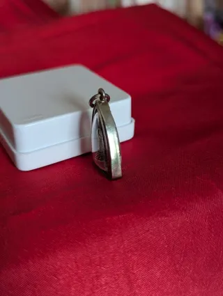 Colgante Buda con carcasa protectora