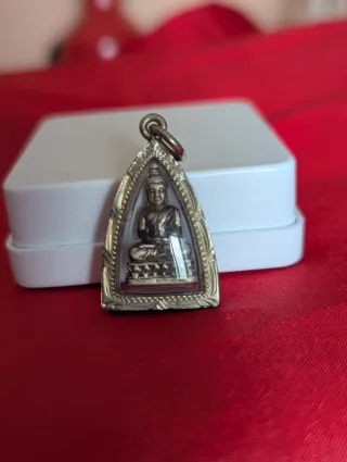 Colgante Buda con carcasa protectora