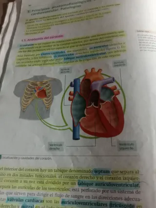 Auxiliar de enfermería