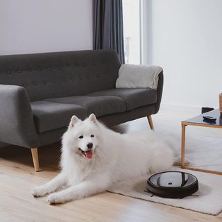 Cecotec Robot Aspirador y Fregasuelos Conga 2290 U