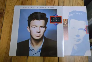 Rick Astley - Hold Me In Your Arms LP