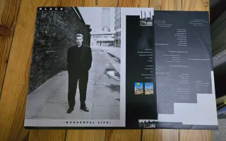 Vinilo LP Wonderful Life - Black