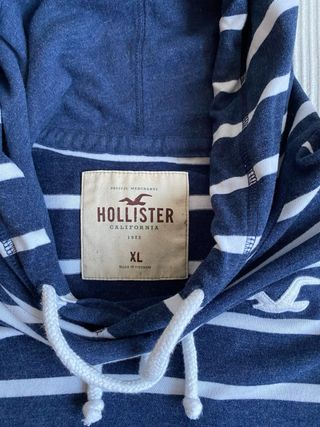 Sudadera con capucha Hollister
