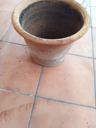 Maceta de terracota grande