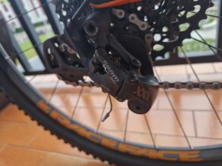 Bici MTB 29 Carbono 12v