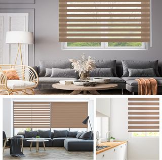 Blindecor Lira estor enrollable noche y día, color