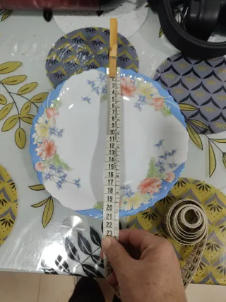 4 Piatti Profondi Arcopal Florine per Polina