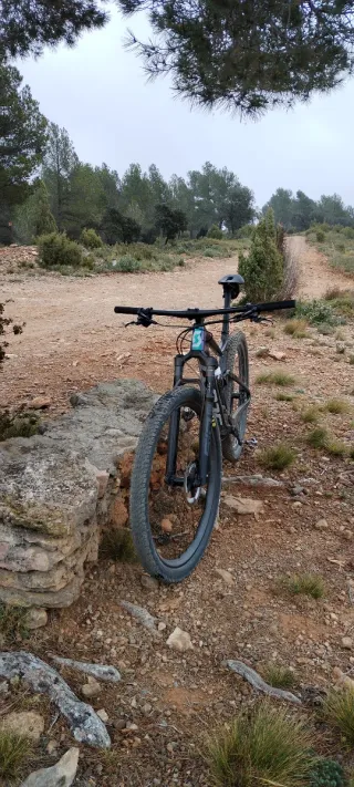 Scott Spark Team Issue 2021