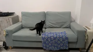 Regalo Sofá de tela azul