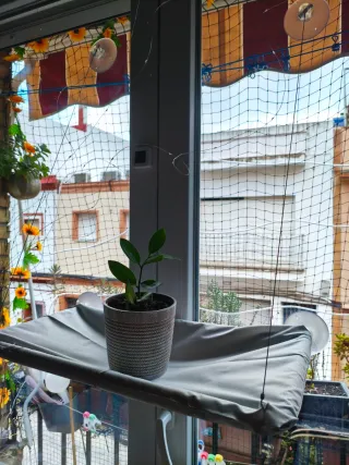 Hamaca para gato beige.