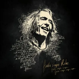 2 Camisetas Talla S: Robe - Hasta Siempre