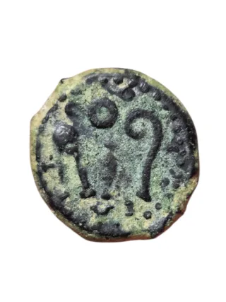 Cuadrante de Augusto, Iulia Traducta