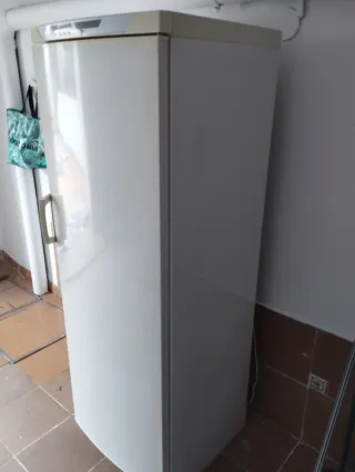 Congelatore Verticale Bianco