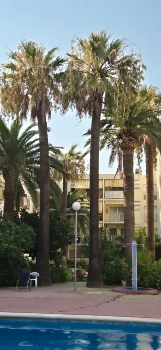 Apartamento reformado  primera linea de playa