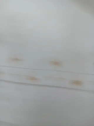 Lenzuola Cantù Lino con 2 Federe adattate