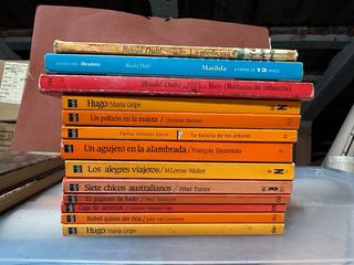 Lote de 13 libros infantiles