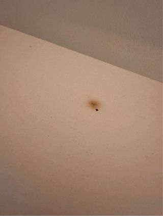 Estantería Enetri Ikea Blanca