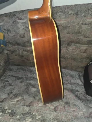 Guitarra 12 cuerdas acústica