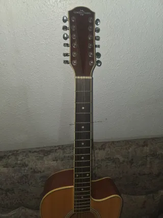 Guitarra 12 cuerdas acústica