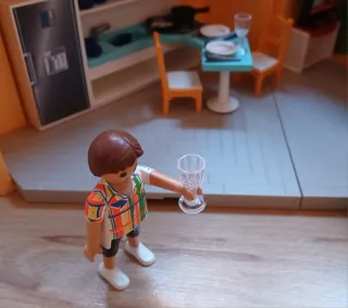 Playmobil 6020 Casa de Campo Maletín