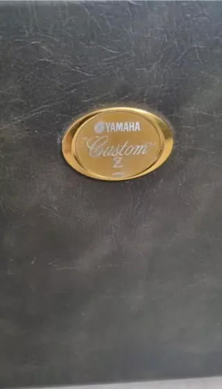 Custodia Tromba Yamaha Custom Z