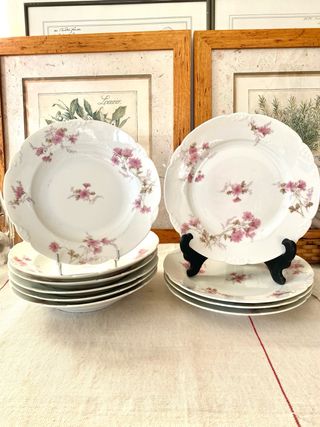 Lotto di 10 Piatti in Porcellana Francese