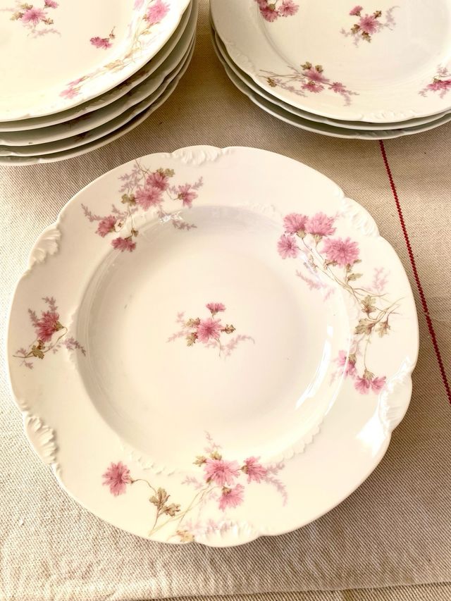 Lote 10 Platos Porcelana Francesa