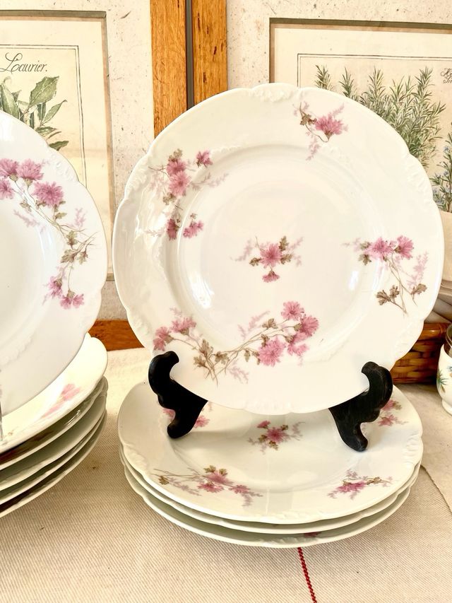 Lote 10 Platos Porcelana Francesa