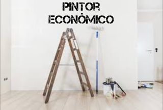 Pintor económico