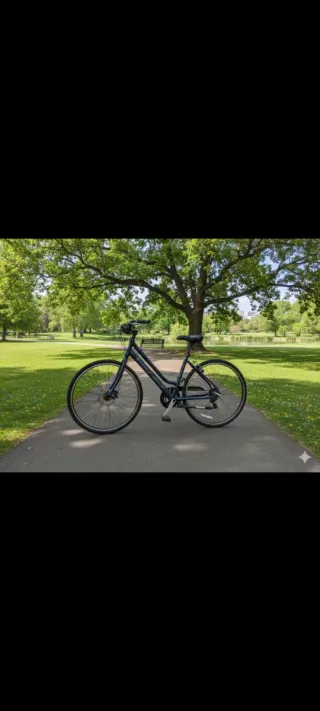 Bicicleta de paseo azul