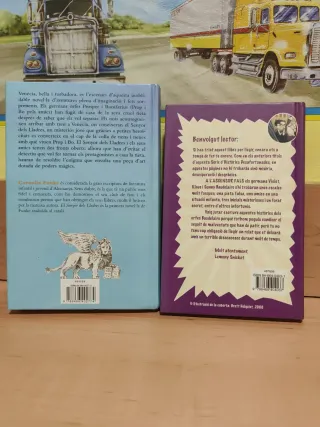 L'ASCENSOR FALS / EL SENYOR DELS LLADRES