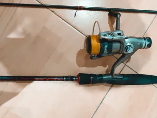 Caña de pescar con carrete 270 cm