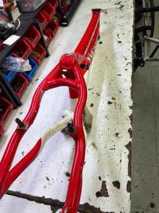 Cuadro Trial Monty 209