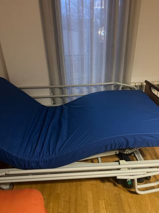 Cama geriátrica con elevación
