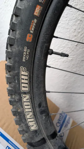 Ruota Anteriore Giant 29 AM