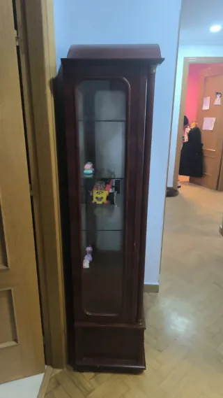 Vitrina de madera y cristal