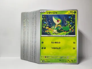 Carte complete di Pokemon Black Bolt