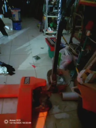 Transpaleta manual seminueva