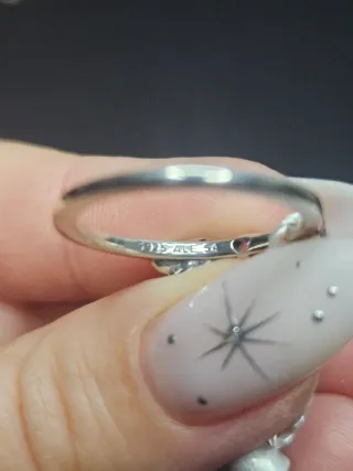 Conjunto Pandora Alas y Brillantes