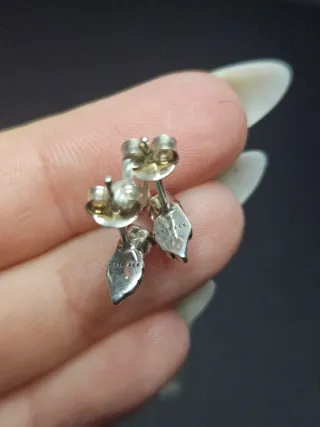 Conjunto Pandora Alas y Brillantes