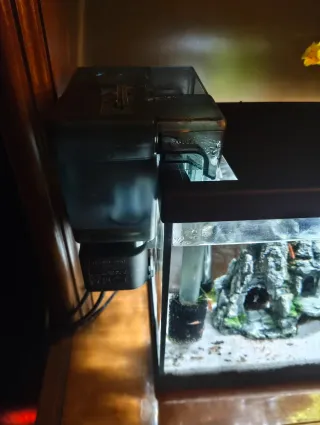 Acuario-gambario 15L con decoración