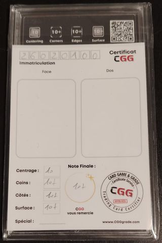 Carta Pokémon Alolan Vulpix V 173/195 CGG 10+