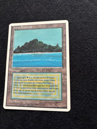 MTG Isla Tropical Revisada