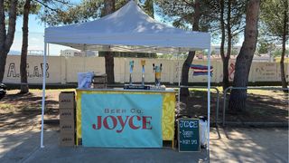 Carpa leroy merlin 3x3 metres